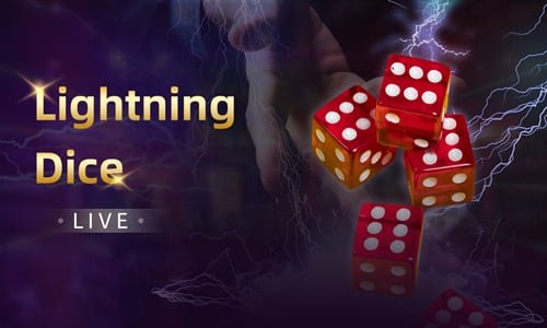 t55 bet