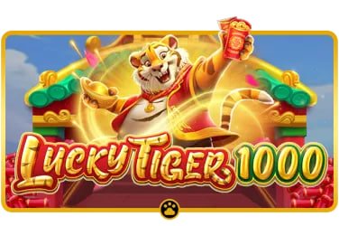 t55 bet